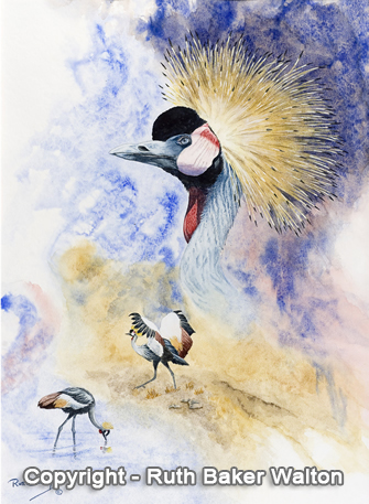 Crowned Crane Portrait Watercolour by Ruth Baker Walton