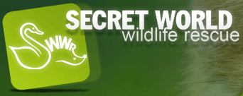 Secret World Wildlife Rescue