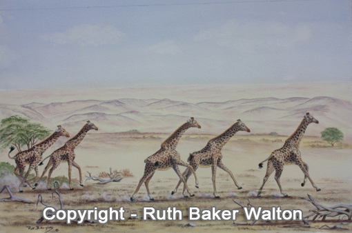 Ruth Baker Walton Giraffes
