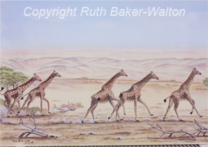 Desert Run Watercolour  by Ruth Baker-Walton