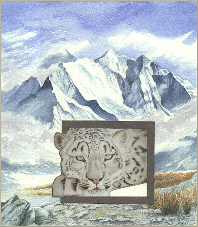 Haunt of the Snow Leopard by Ruth Baker Walton