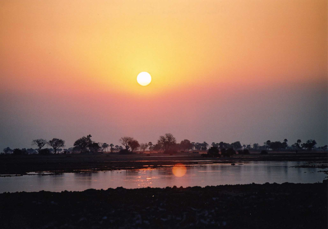 Magic of the Okavango Journey with Ruth Baker Walton Wildlife Artist